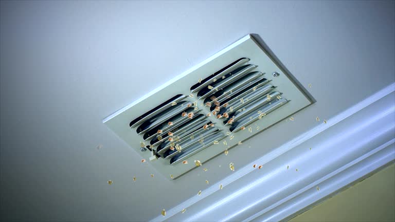 Best Affordable Air Duct Cleaning  in Milan, NM
