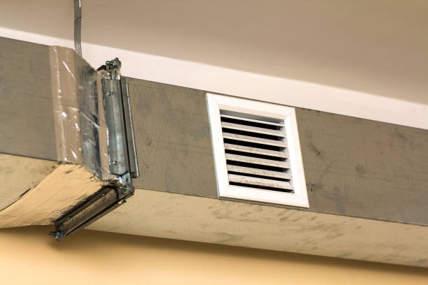 Best Air Vent Cleaning Services  in Milan, NM